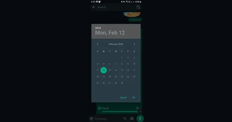 WhatsApp Android Kullanıcıları Tarihe Göre Mesaj Arayabilecek WhatsApp Android Kullanıcıları Tarihe Göre Mesaj Arayabilecek